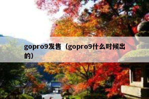 gopro9发售（gopro9什么时候出的） 第1张