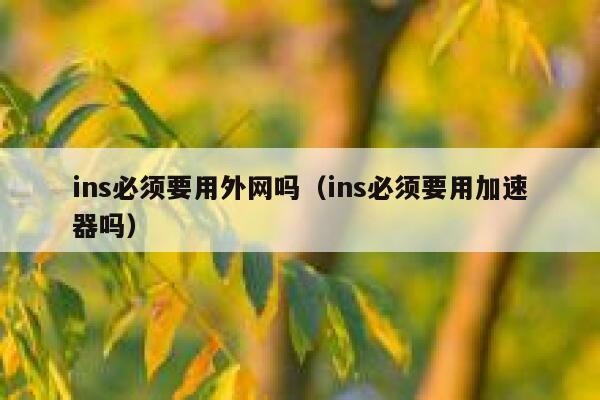 ins必须要用外网吗(ins必须要用加速器吗) 第1张 ins必须要用外网吗(ins必须要用加速器吗) 第1张