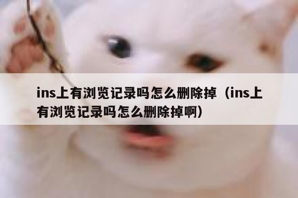 ins上有浏览记录吗怎么删除掉（ins上有浏览记录吗怎么删除掉啊） 第1张