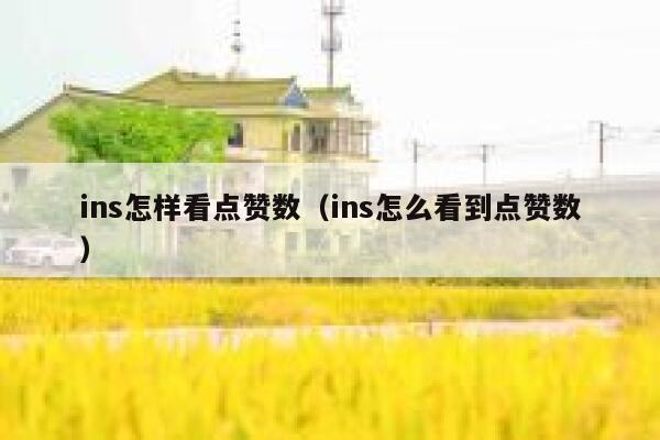 ins怎样看点赞数（ins怎么看到点赞数） 第1张