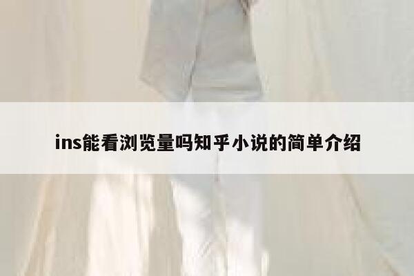 ins能看浏览量吗知乎小说的简单介绍 第1张