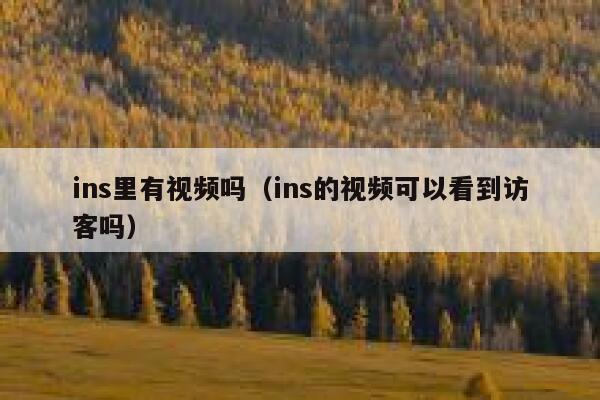 ins里有视频吗（ins的视频可以看到访客吗） 第1张