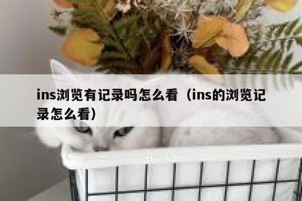 ins浏览有记录吗怎么看（ins的浏览记录怎么看） 第1张