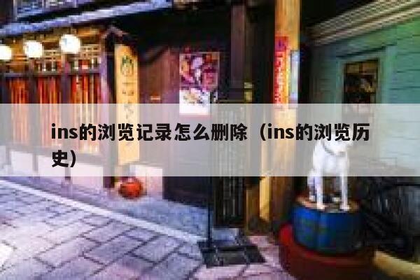 ins的浏览记录怎么删除（ins的浏览历史） 第1张