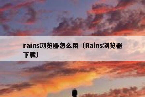 rains浏览器怎么用（Rains浏览器下载） 第1张