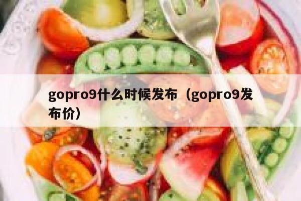 gopro9什么时候发布（gopro9发布价） 第1张