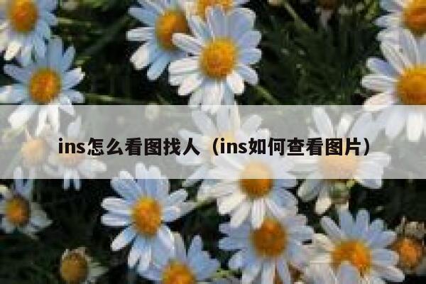 ins怎么看图找人（ins如何查看图片） 第1张