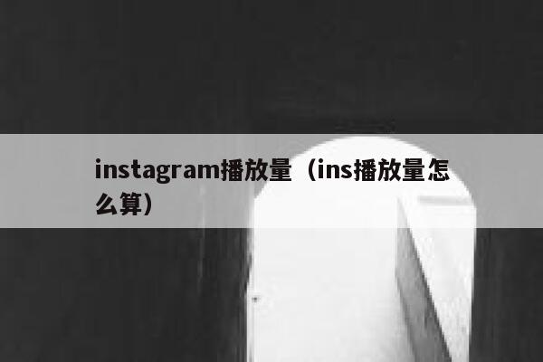 instagram播放量（ins播放量怎么算） 第1张