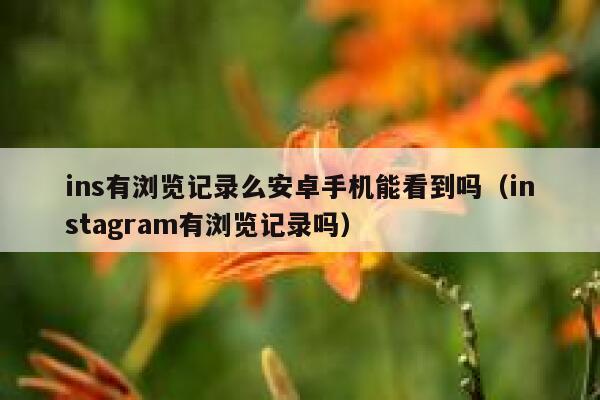 ins有浏览记录么安卓手机能看到吗(instagram有浏览记录吗) 第1张 ins有浏览记录么安卓手机能看到吗(instagram有浏览记录吗) 第1张