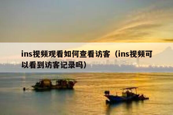 ins视频观看如何查看访客（ins视频可以看到访客记录吗） 第1张