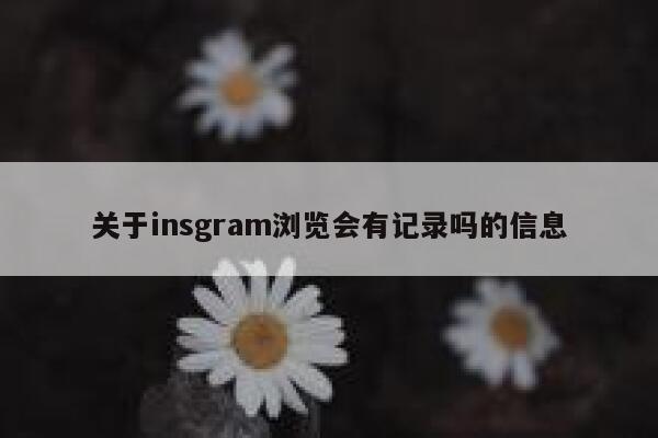 关于insgram浏览会有记录吗的信息 第1张 关于insgram浏览会有记录吗的信息 第1张