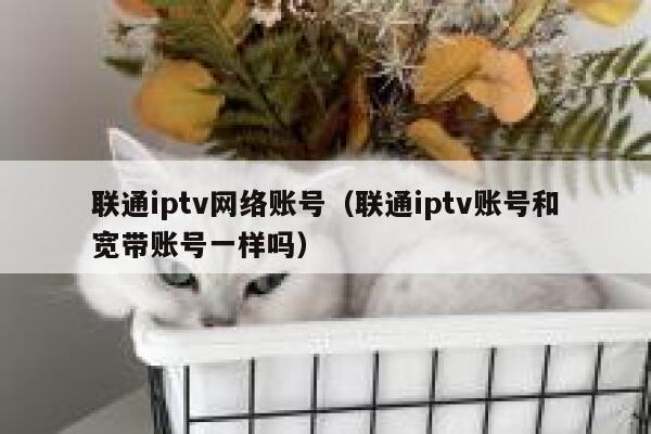 联通iptv网络账号(联通iptv账号和宽带账号一样吗) 第1张 联通iptv网络账号(联通iptv账号和宽带账号一样吗) 第1张