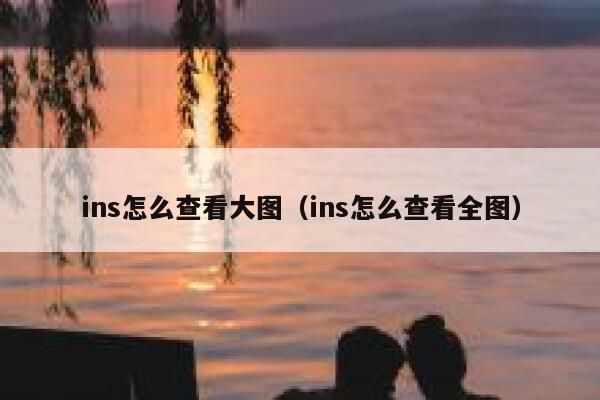 ins怎么查看大图(ins怎么查看全图) 第1张 ins怎么查看大图(ins怎么查看全图) 第1张