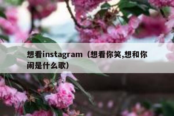 想看instagram(想看你笑,想和你闹是什么歌) 第1张 想看instagram(想看你笑,想和你闹是什么歌) 第1张
