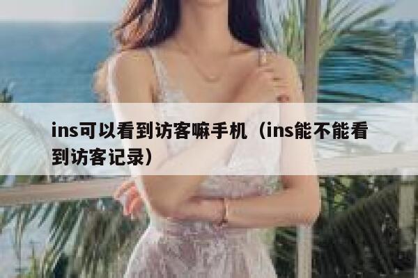 ins可以看到访客嘛手机（ins能不能看到访客记录） 第1张