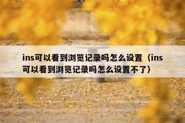 ins可以看到浏览记录吗怎么设置（ins可以看到浏览记录吗怎么设置不了） 第1张