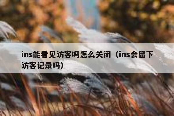 ins能看见访客吗怎么关闭（ins会留下访客记录吗） 第1张