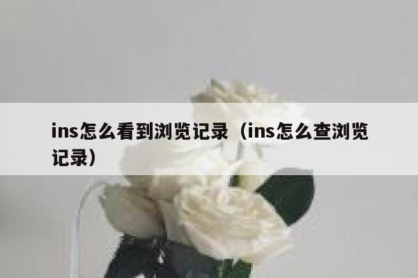 ins怎么看到浏览记录（ins怎么查浏览记录） 第1张