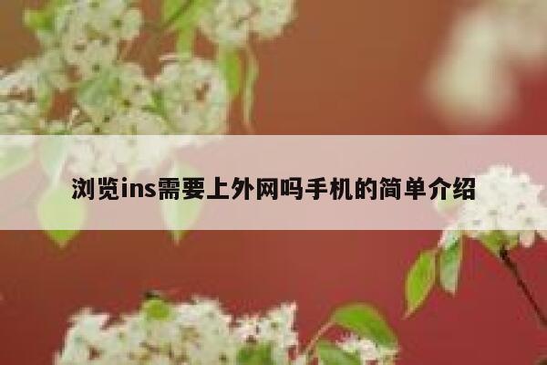 浏览ins需要上外网吗手机的简单介绍 第1张