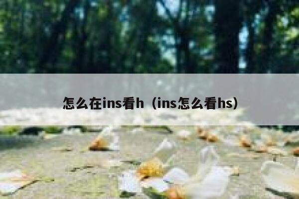 怎么在ins看h（ins怎么看hs） 第1张