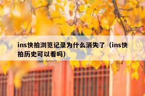 ins快拍浏览记录为什么消失了（ins快拍历史可以看吗） 第1张