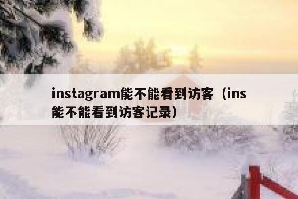 instagram能不能看到访客(ins能不能看到访客记录) 第1张 instagram能不能看到访客(ins能不能看到访客记录) 第1张