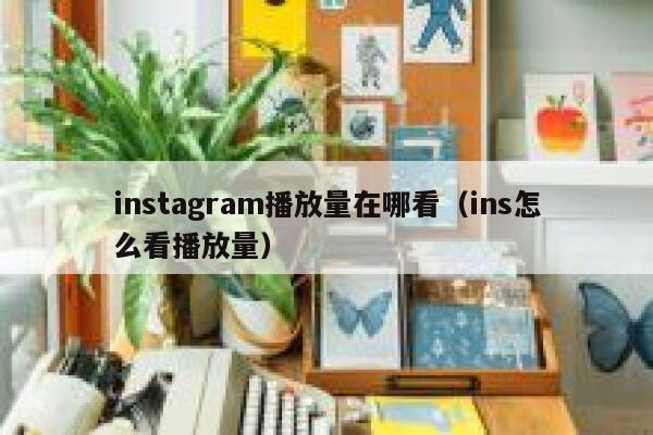 instagram播放量在哪看（ins怎么看播放量） 第1张