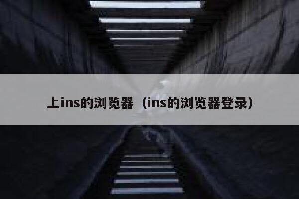 上ins的浏览器（ins的浏览器登录） 第1张