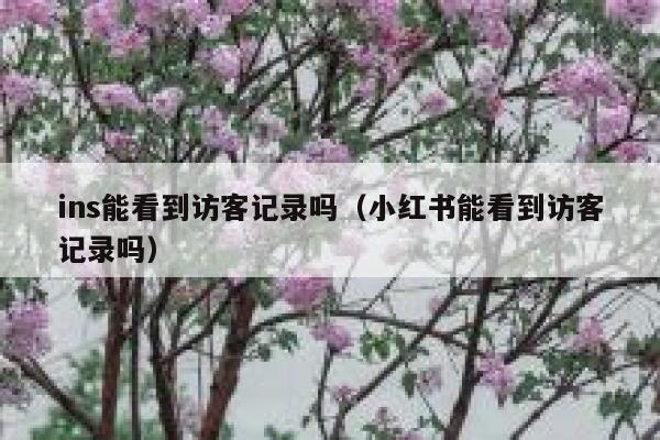 ins能看到访客记录吗（小红书能看到访客记录吗） 第1张
