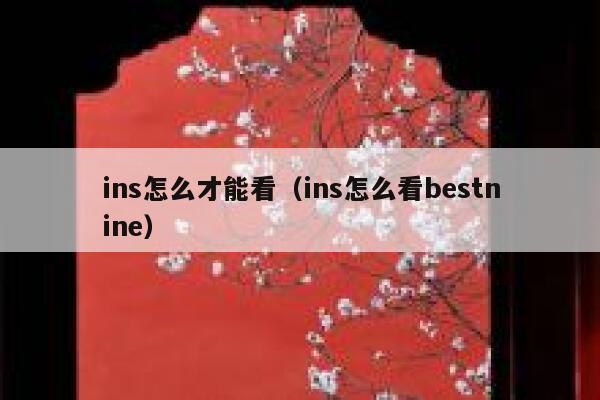 ins怎么才能看（ins怎么看bestnine） 第1张