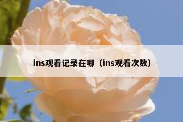 ins观看记录在哪（ins观看次数） 第1张