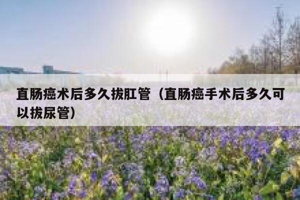 直肠癌术后多久拔肛管（直肠癌手术后多久可以拔尿管） 第1张