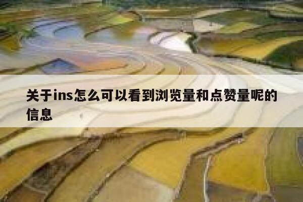 关于ins怎么可以看到浏览量和点赞量呢的信息 第1张
