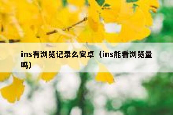 ins有浏览记录么安卓（ins能看浏览量吗） 第1张