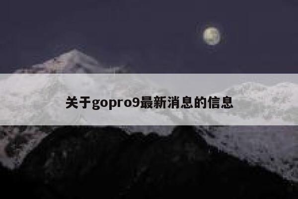 关于gopro9最新消息的信息 第1张