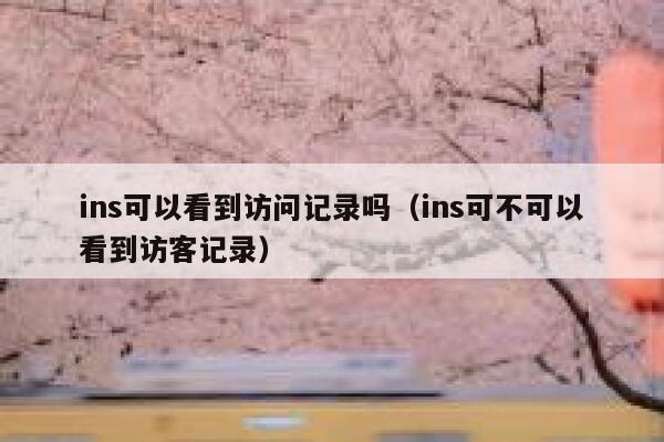 ins可以看到访问记录吗（ins可不可以看到访客记录） 第1张