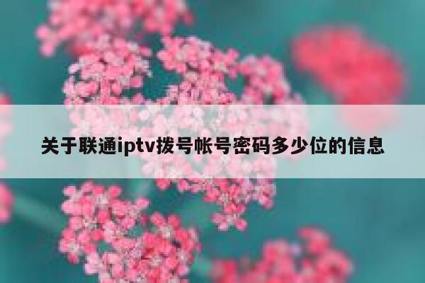 关于联通iptv拨号帐号密码多少位的信息 第1张