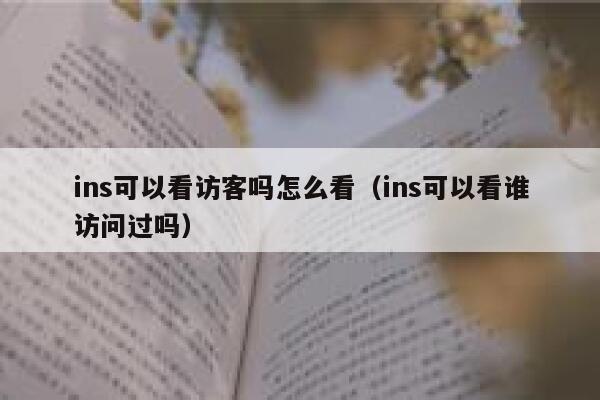 ins可以看访客吗怎么看(ins可以看谁访问过吗) 第1张 ins可以看访客吗怎么看(ins可以看谁访问过吗) 第1张