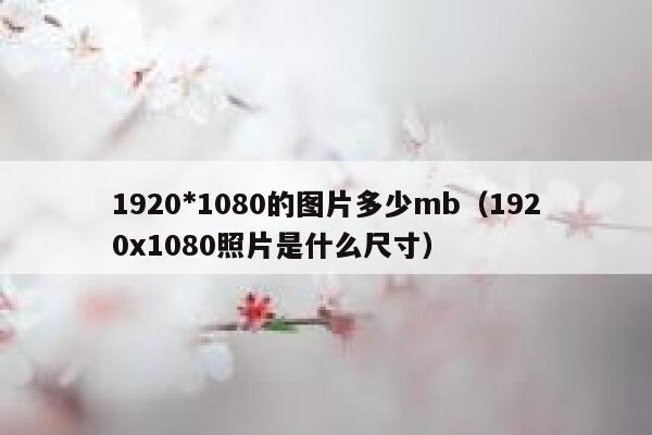 1920*1080的图片多少mb（1920x1080照片是什么尺寸） 第1张