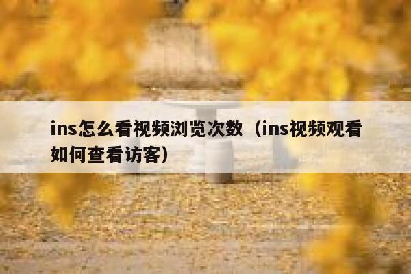 ins怎么看视频浏览次数（ins视频观看如何查看访客） 第1张
