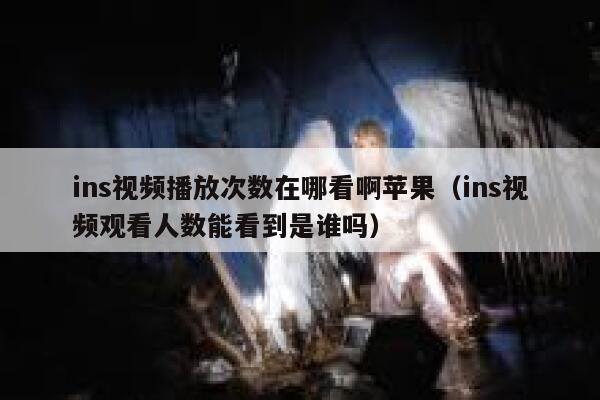 ins视频播放次数在哪看啊苹果（ins视频观看人数能看到是谁吗） 第1张