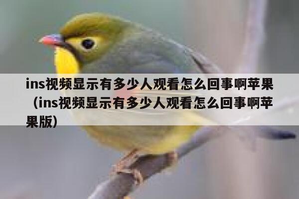 ins视频显示有多少人观看怎么回事啊苹果（ins视频显示有多少人观看怎么回事啊苹果版） 第1张