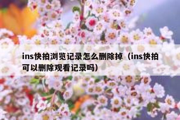 ins快拍浏览记录怎么删除掉（ins快拍可以删除观看记录吗） 第1张