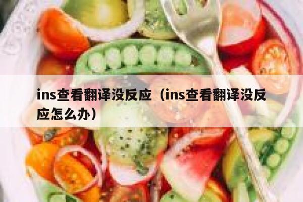 ins查看翻译没反应（ins查看翻译没反应怎么办） 第1张