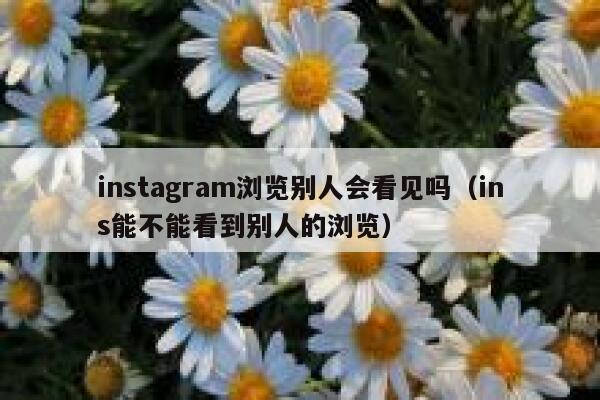 instagram浏览别人会看见吗（ins能不能看到别人的浏览） 第1张