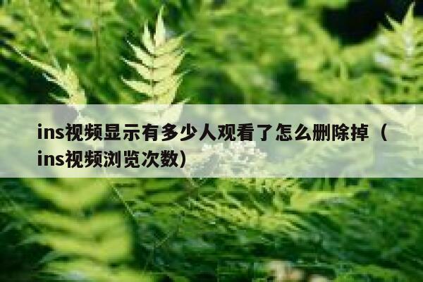 ins视频显示有多少人观看了怎么删除掉（ins视频浏览次数） 第1张