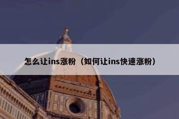 怎么让ins涨粉（如何让ins快速涨粉） 第1张