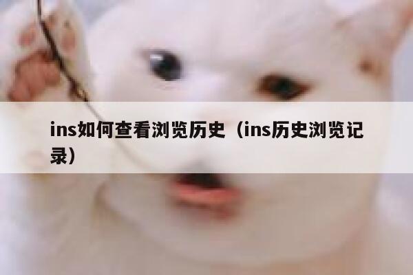ins如何查看浏览历史（ins历史浏览记录） 第1张