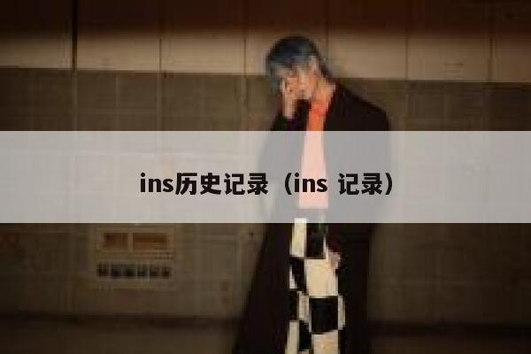 ins历史记录（ins 记录） 第1张