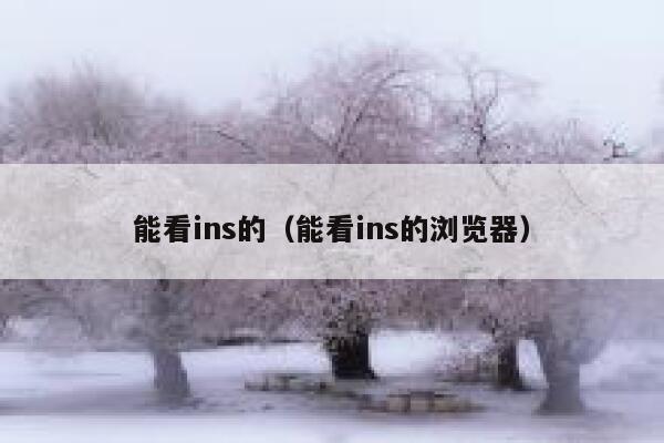 能看ins的（能看ins的浏览器） 第1张
